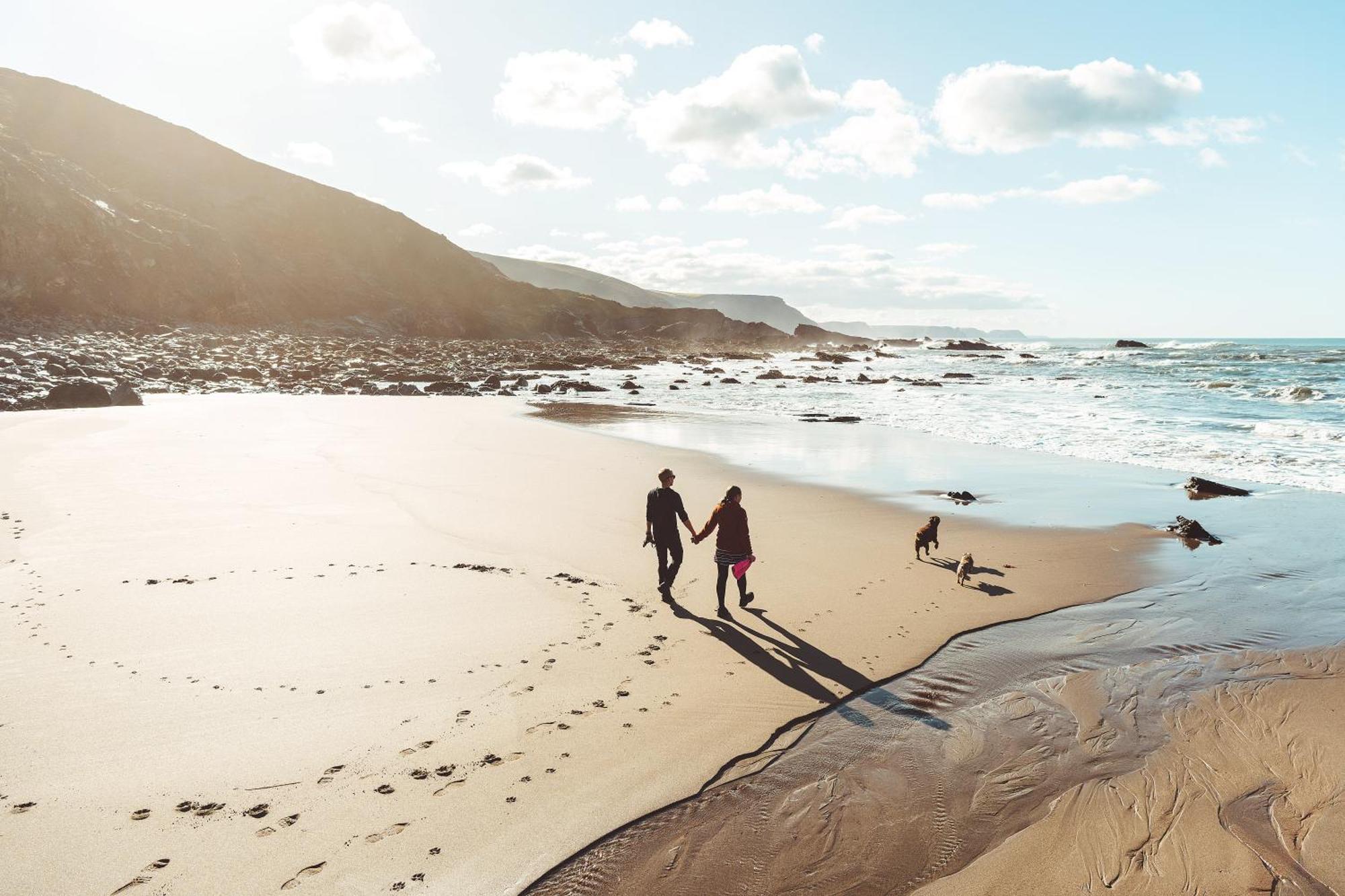 Penzion Trevigue Farm Crackington Haven Exteriér fotografie